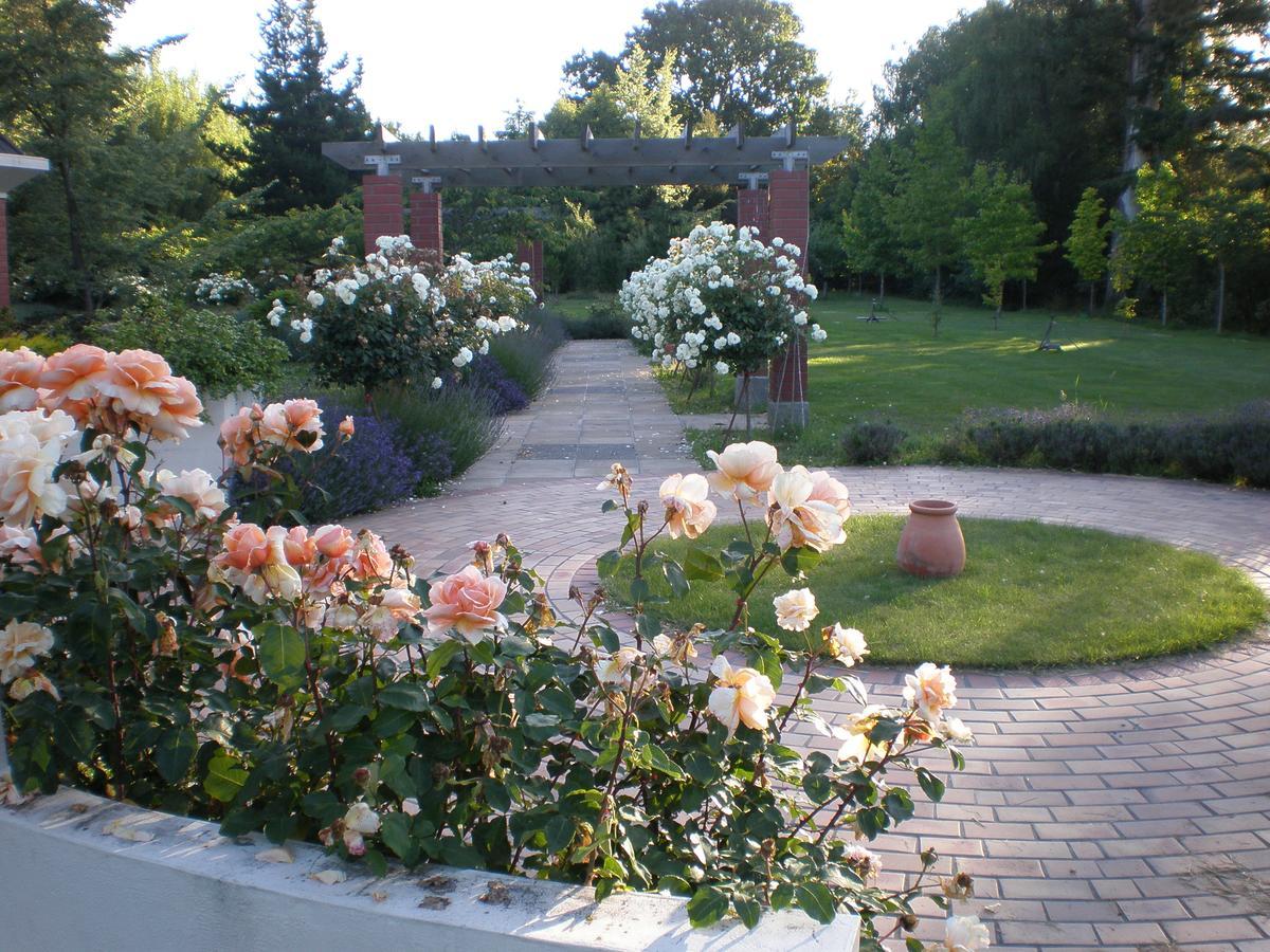 Shamrock Garden B&B Airport Κράισττσερτς Εξωτερικό φωτογραφία