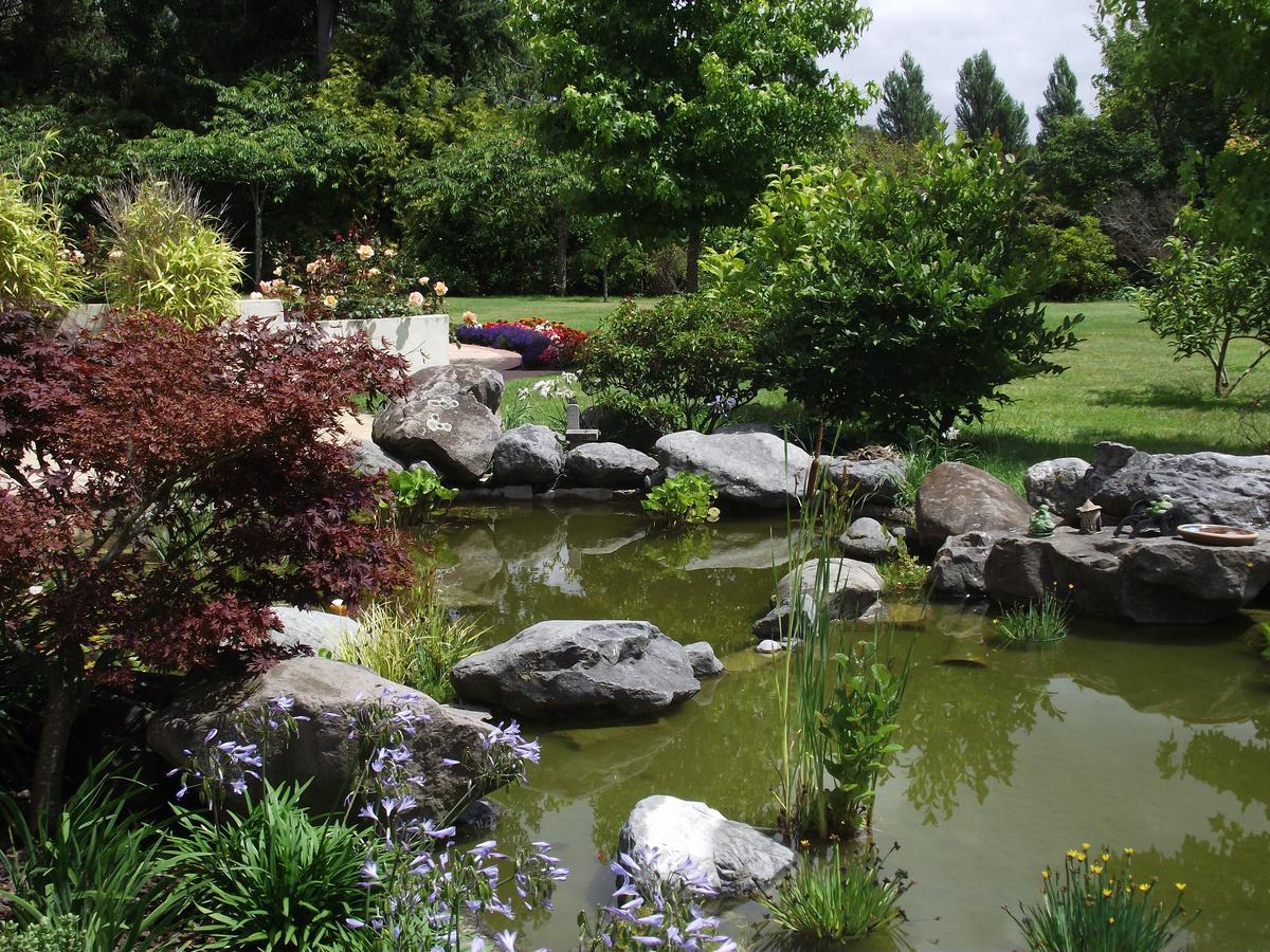 Shamrock Garden B&B Airport Κράισττσερτς Εξωτερικό φωτογραφία