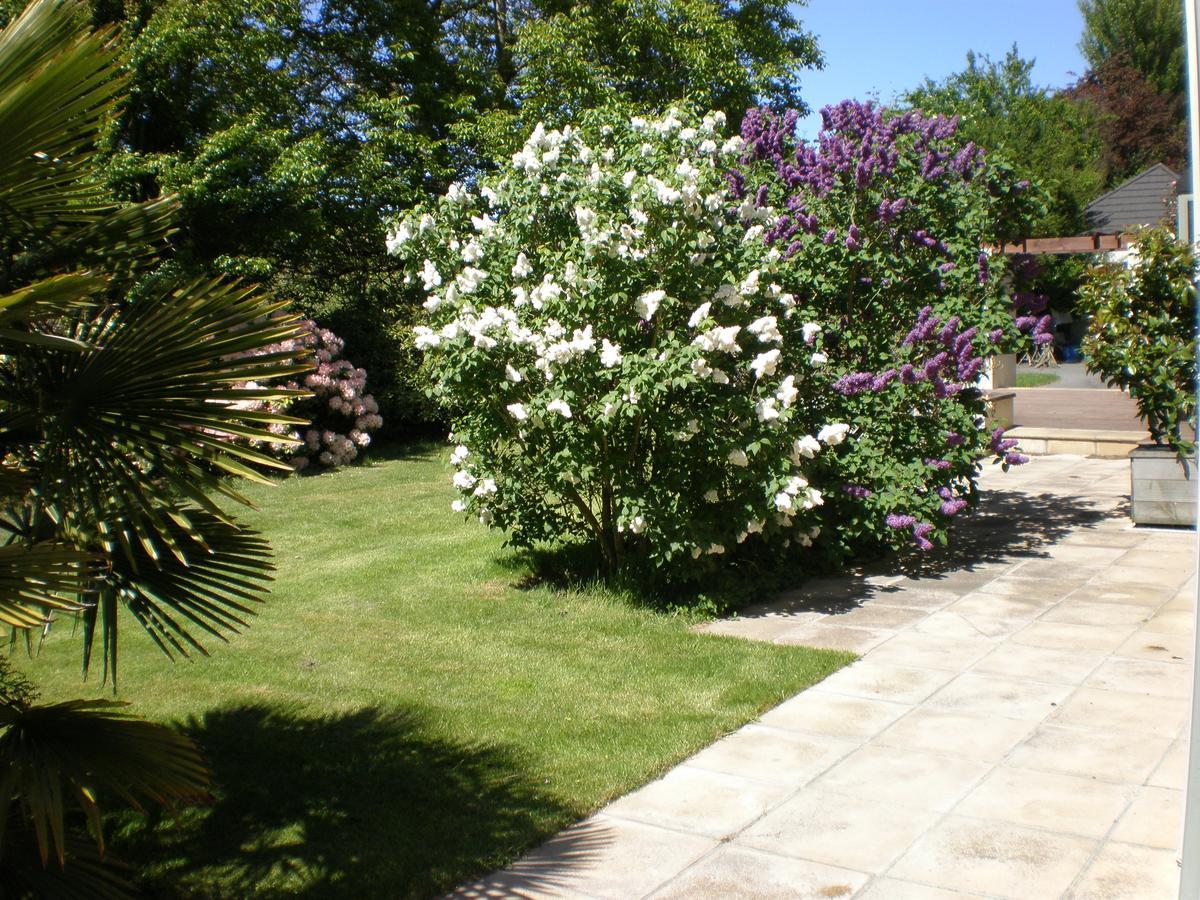 Shamrock Garden B&B Airport Κράισττσερτς Εξωτερικό φωτογραφία