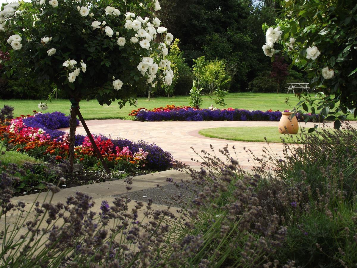 Shamrock Garden B&B Airport Κράισττσερτς Εξωτερικό φωτογραφία