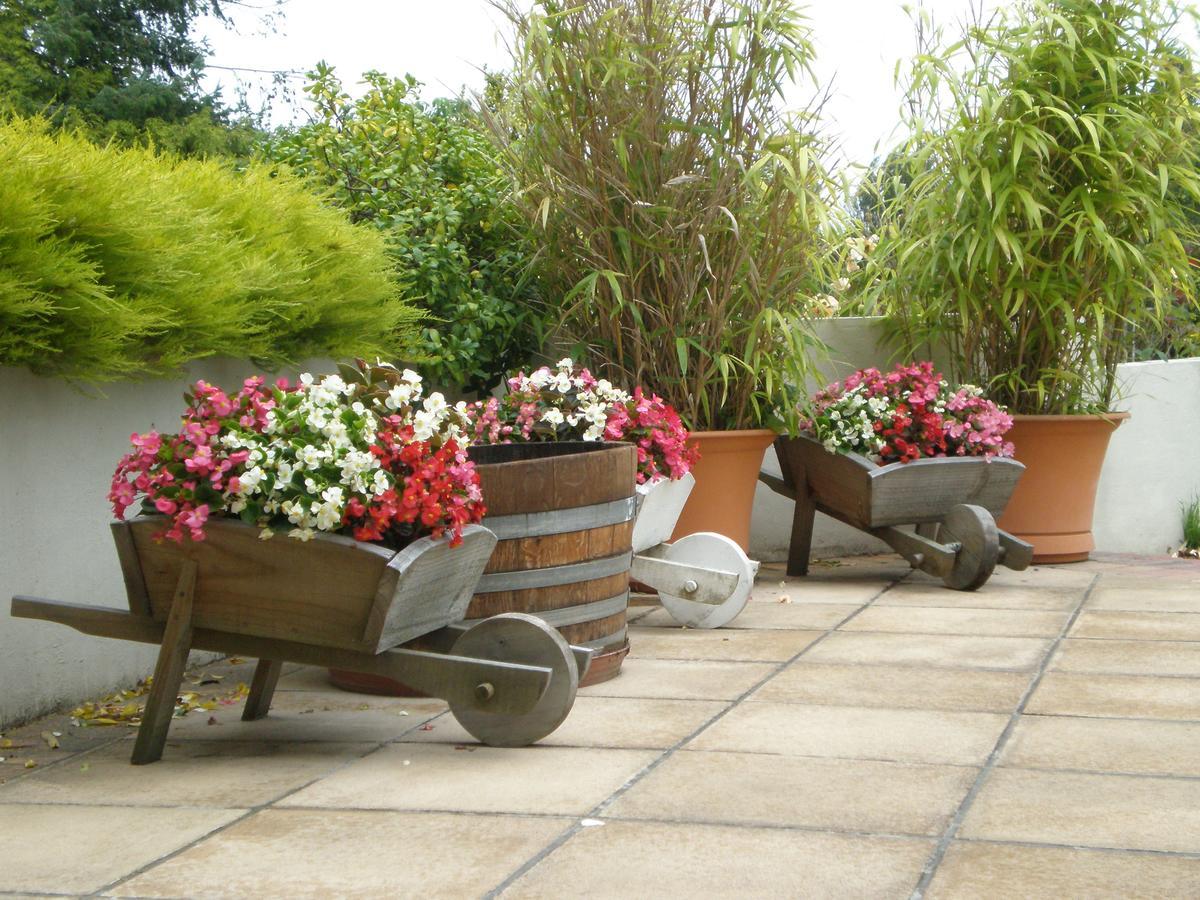Shamrock Garden B&B Airport Κράισττσερτς Εξωτερικό φωτογραφία