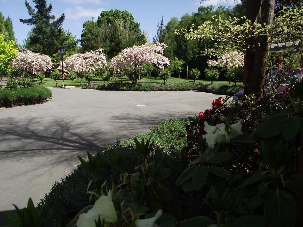 Shamrock Garden B&B Airport Κράισττσερτς Εξωτερικό φωτογραφία