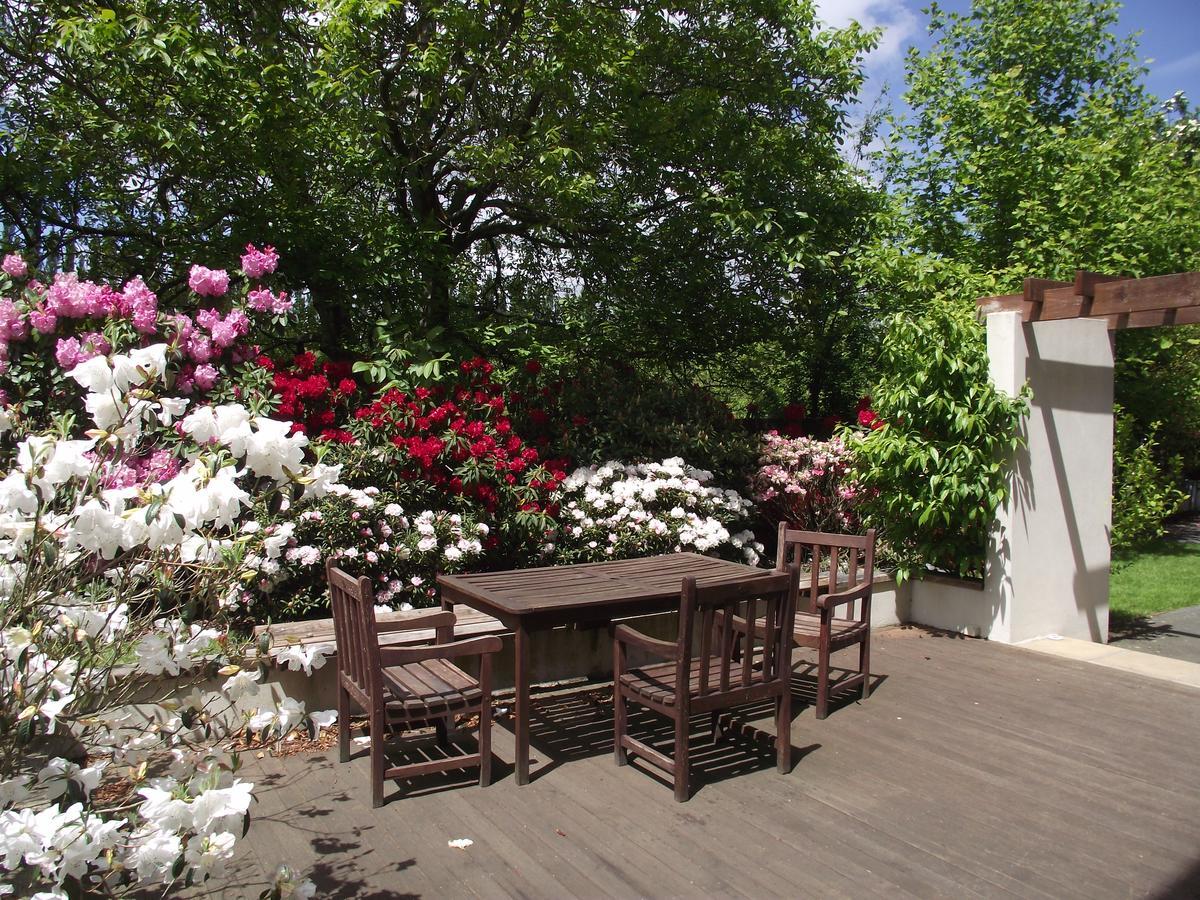 Shamrock Garden B&B Airport Κράισττσερτς Εξωτερικό φωτογραφία