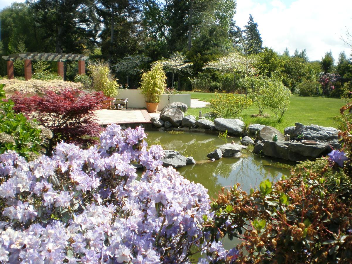 Shamrock Garden B&B Airport Κράισττσερτς Εξωτερικό φωτογραφία