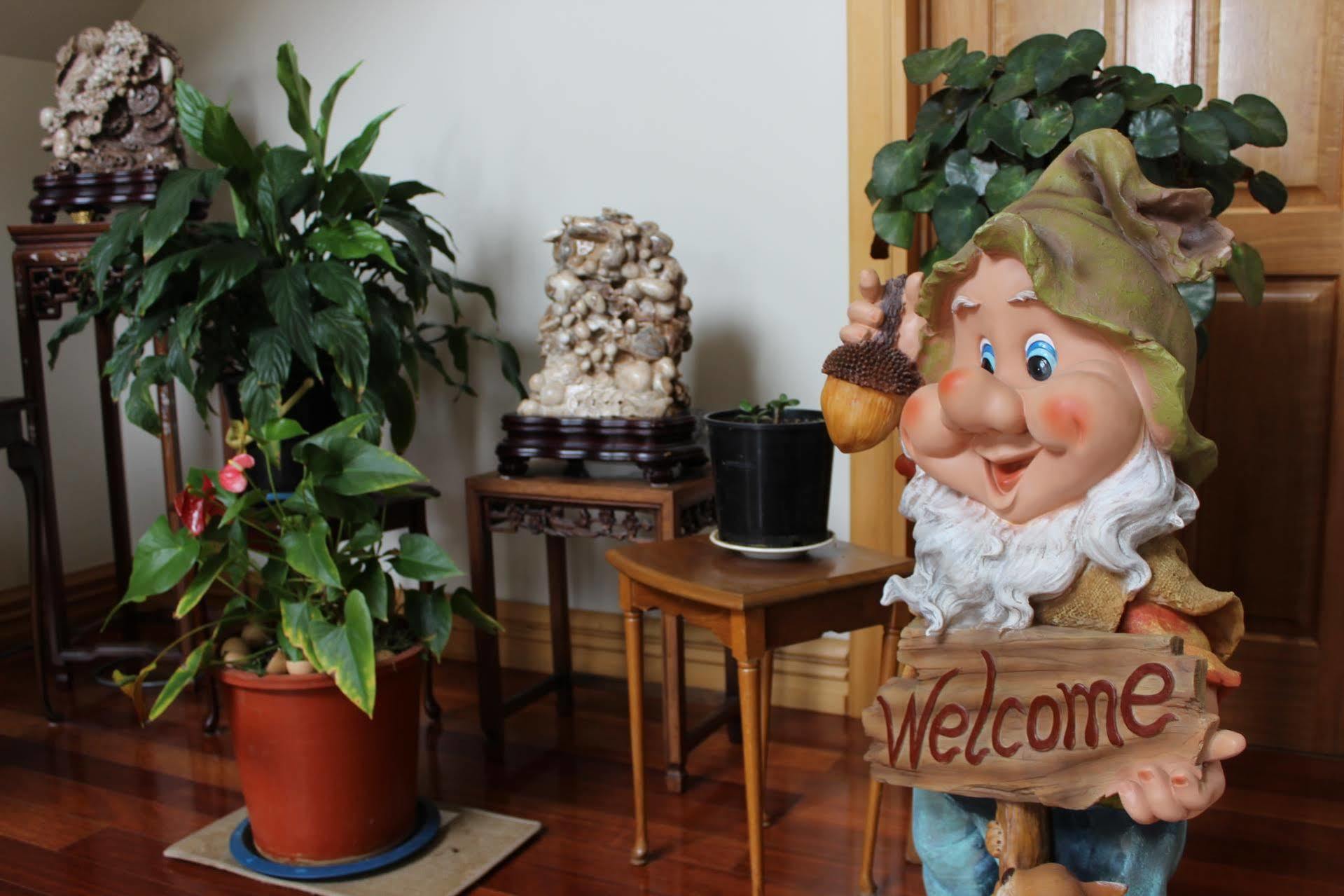 Shamrock Garden B&B Airport Κράισττσερτς Εξωτερικό φωτογραφία